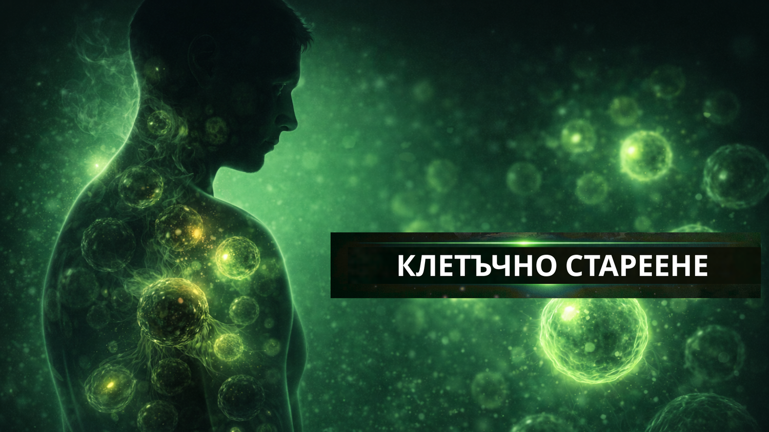 Клетъчното стареене:  когато старите клетки не си тръгват