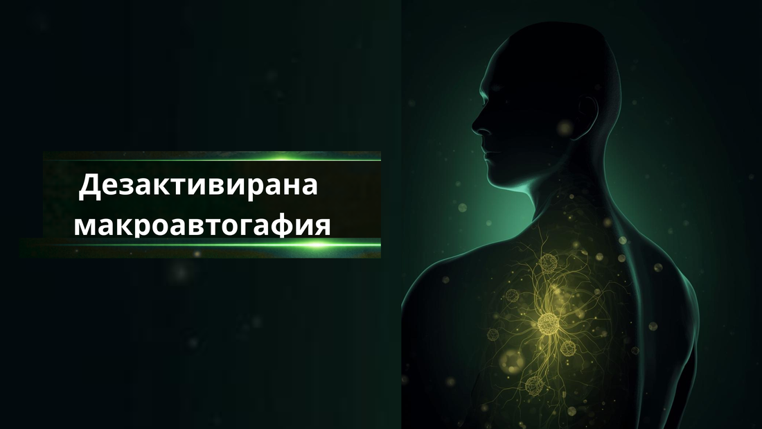 Дезактивирана макроавтогафия - блог от Nucleo Greens